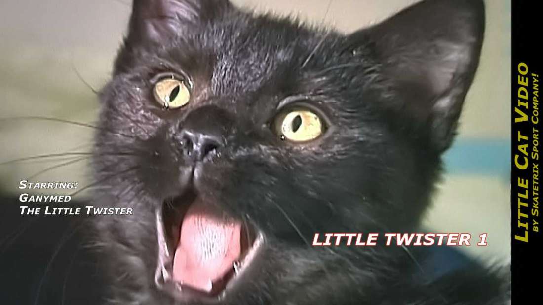 Little Twister Cat Ganymed Video 1